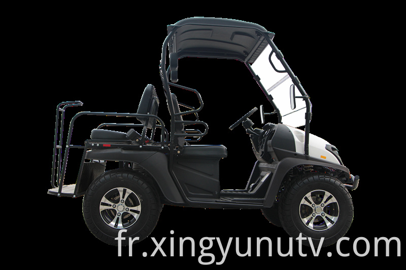 2021 vente chaude de haute qualité 5kw électrique UTV EEC Golf de golf